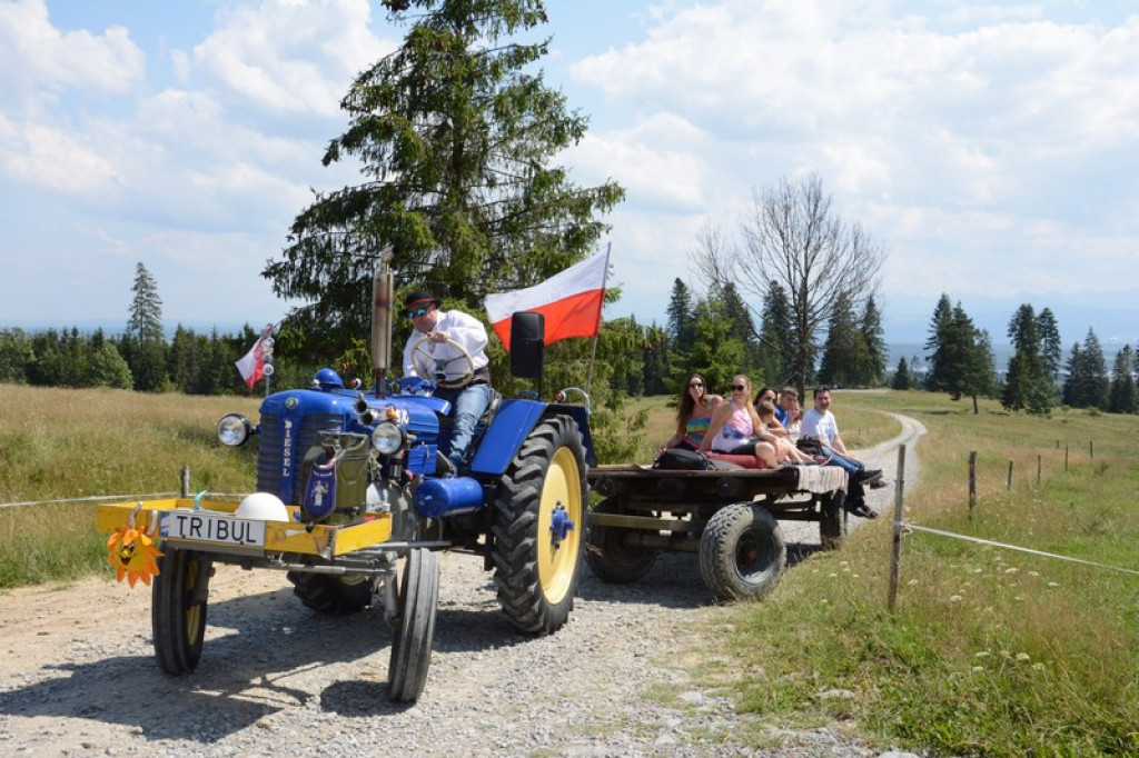 Tak rzeźbili na Marysinej Polanie