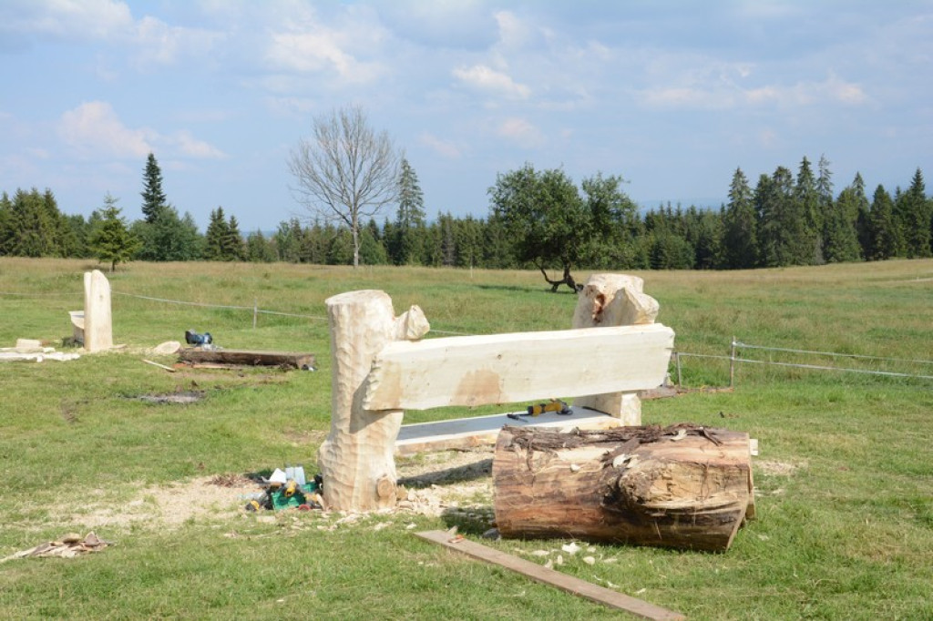 Tak rzeźbili na Marysinej Polanie