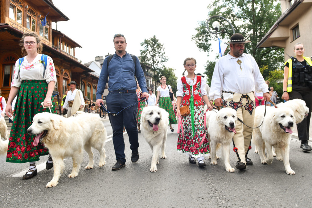 Barwny festiwal