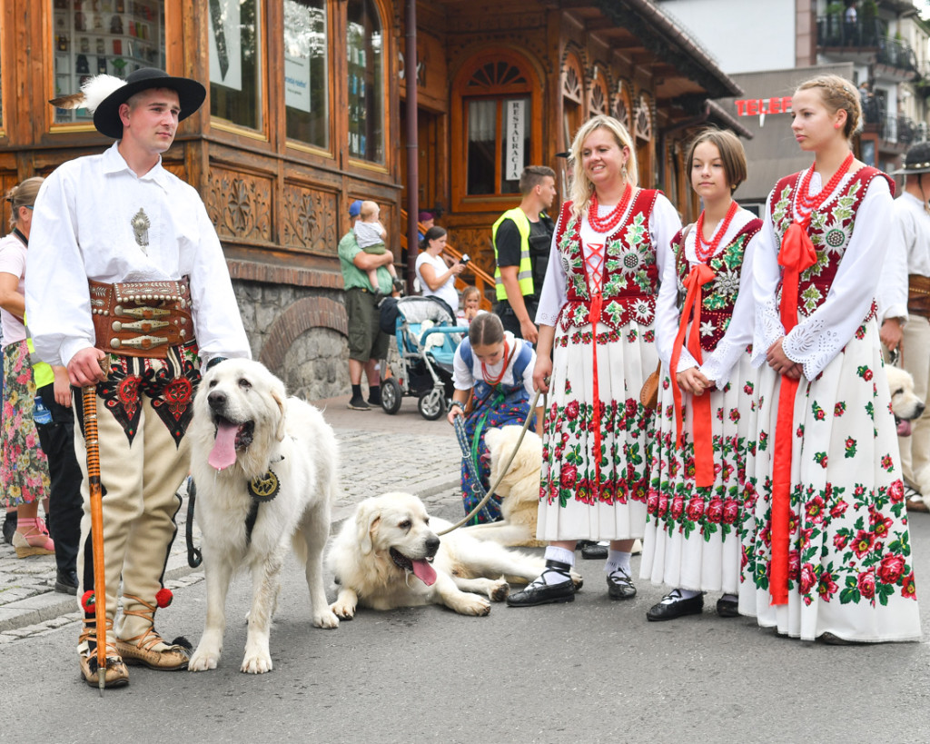 Barwny festiwal
