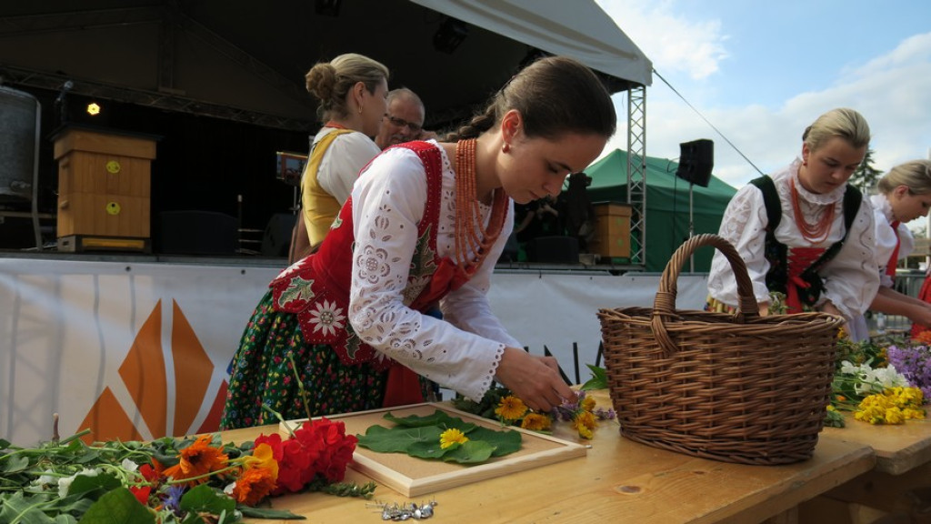XIX. Dzień Misia, Miodu i Bartników w Poroninie
