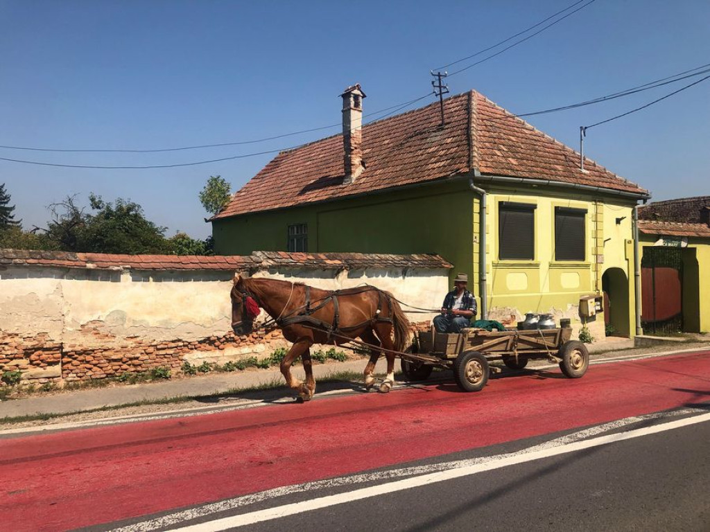 Rowerowe wyzwanie. Pokonali 1400 kilometrów, by pomóc innym