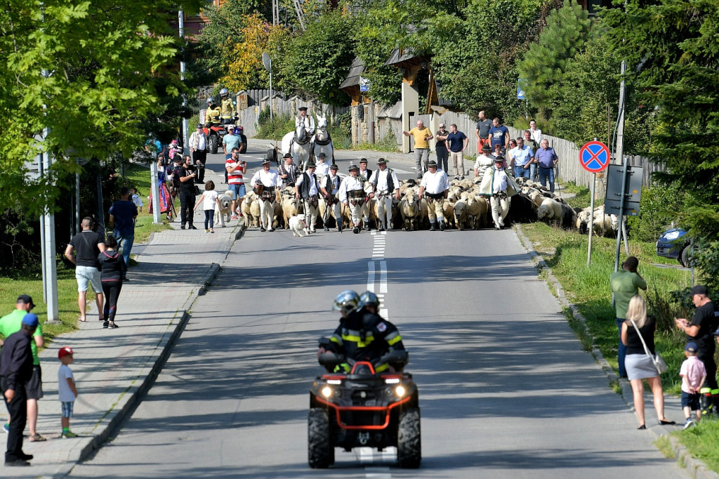 Polaniarski osod
