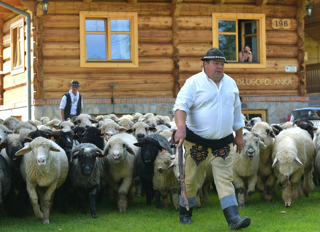Polaniarski osod