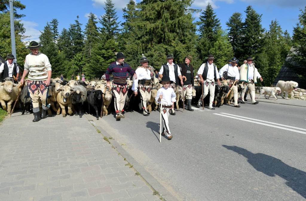 Polaniarski osod