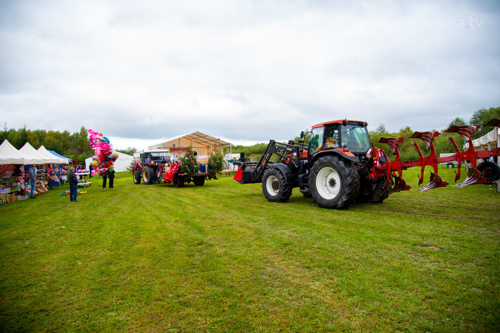 Święto plonów, festiwal smaków i turniej sołectw