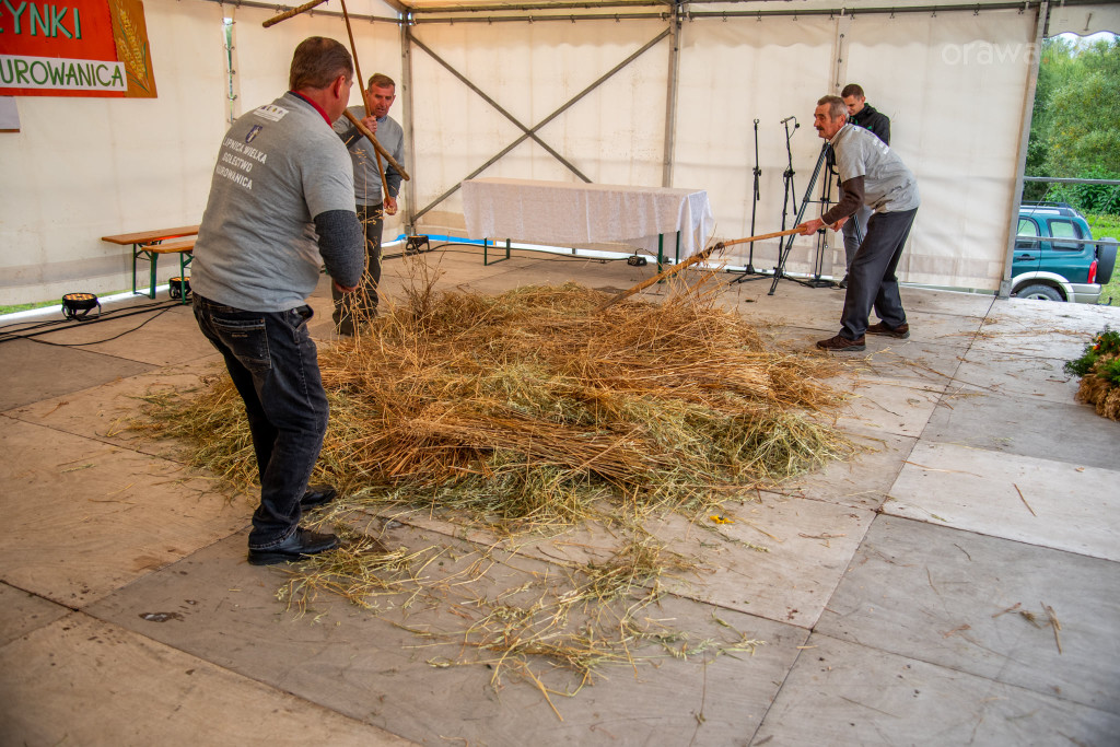 Święto plonów, festiwal smaków i turniej sołectw