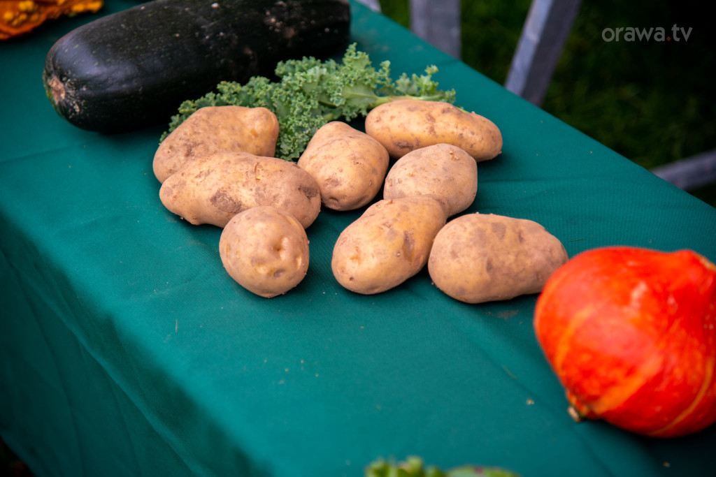 Święto plonów, festiwal smaków i turniej sołectw