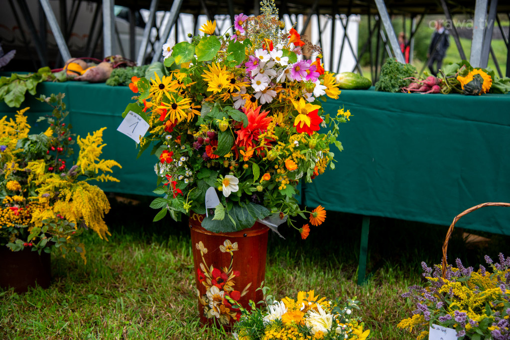 Święto plonów, festiwal smaków i turniej sołectw