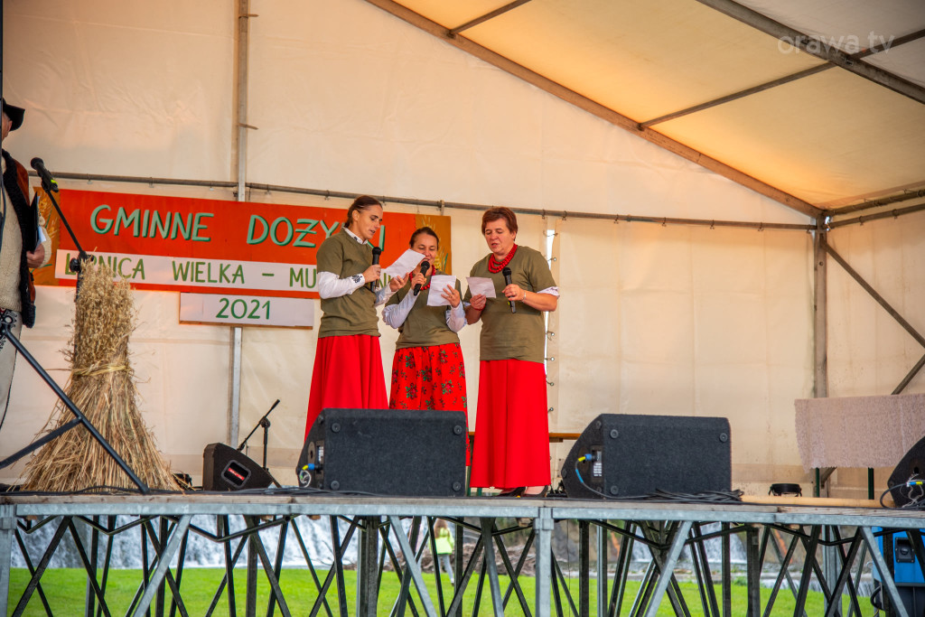 Święto plonów, festiwal smaków i turniej sołectw