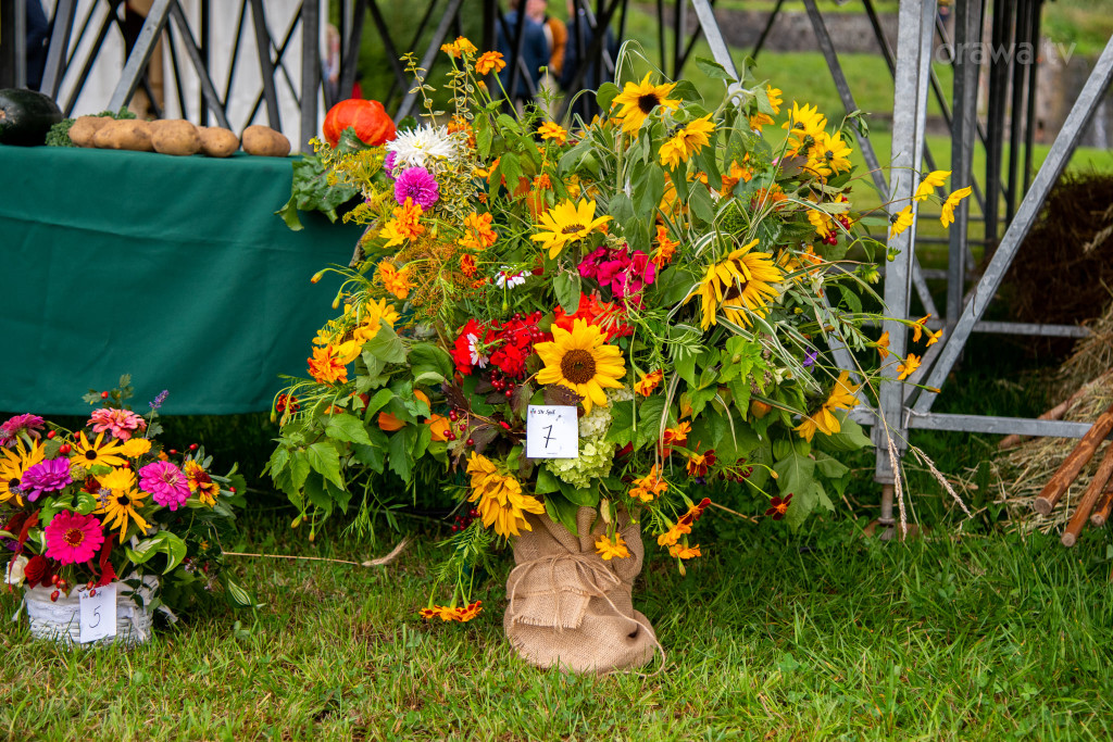 Święto plonów, festiwal smaków i turniej sołectw
