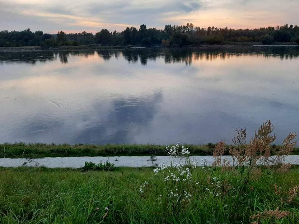 Malowali Kazimierz Dolny