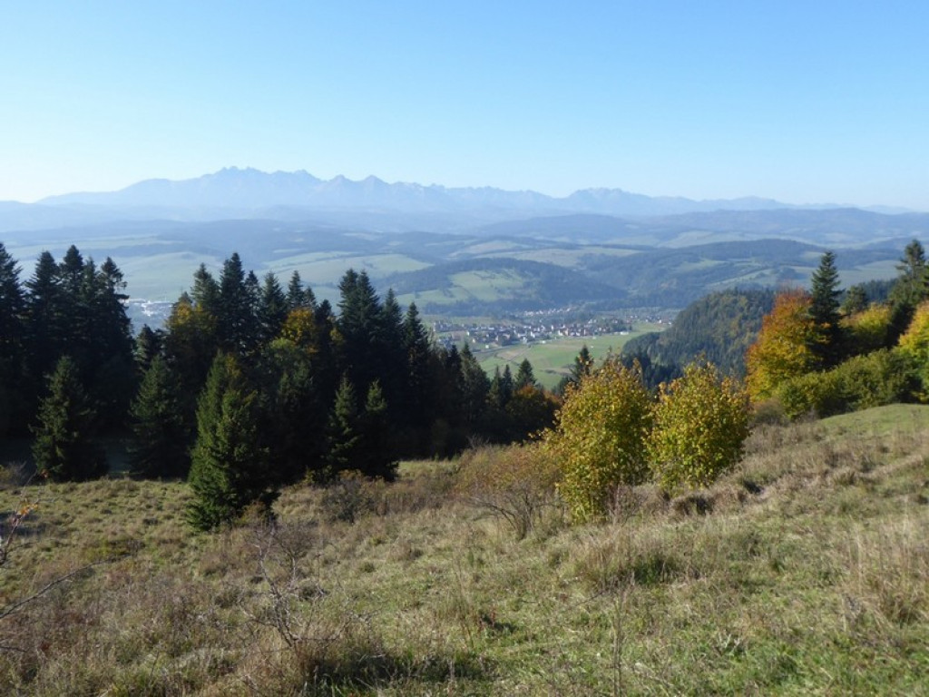 Wycieczka w jesiennych barwach