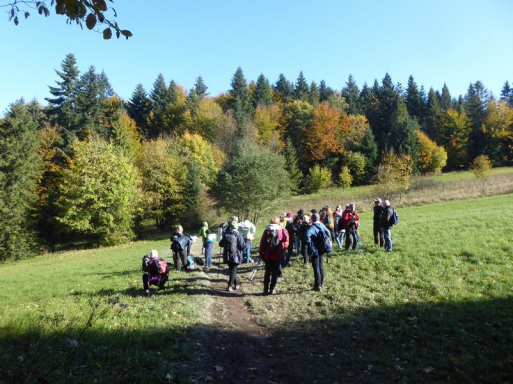 Wycieczka w jesiennych barwach