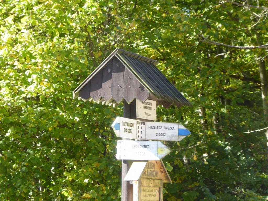 Wycieczka w jesiennych barwach
