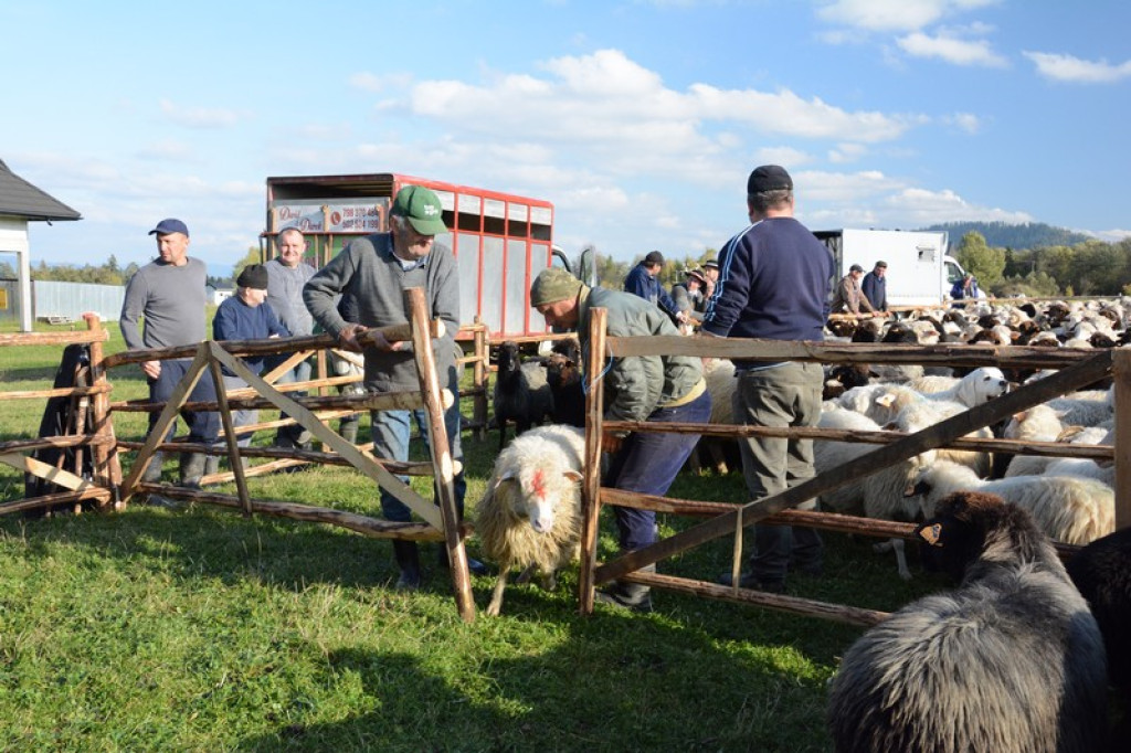 Osod braci Leśnickich