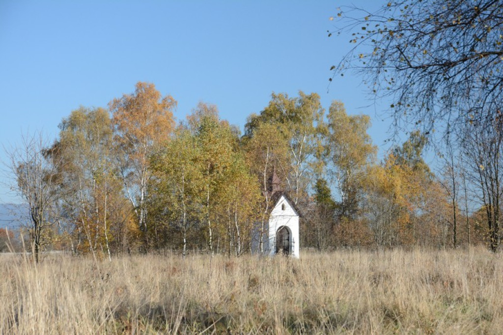 Jesień na torfowisku Baligówka
