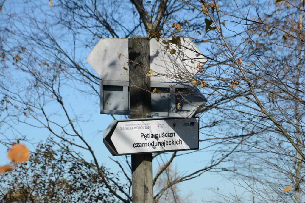Jesień na torfowisku Baligówka