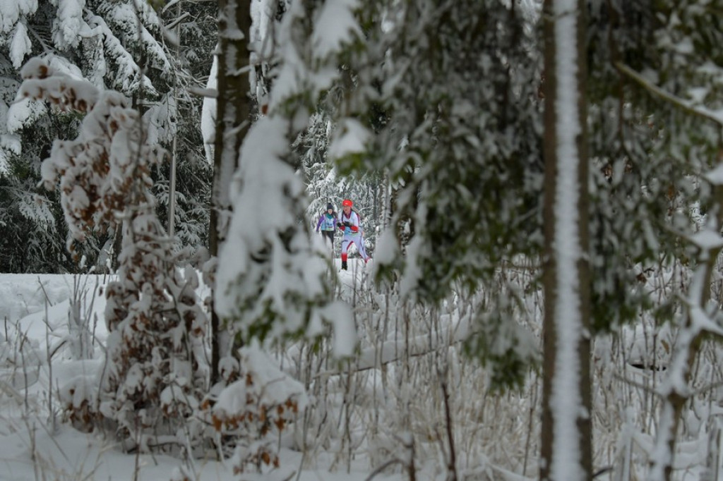 Cross Country Tatra Cup w Zakopanem
