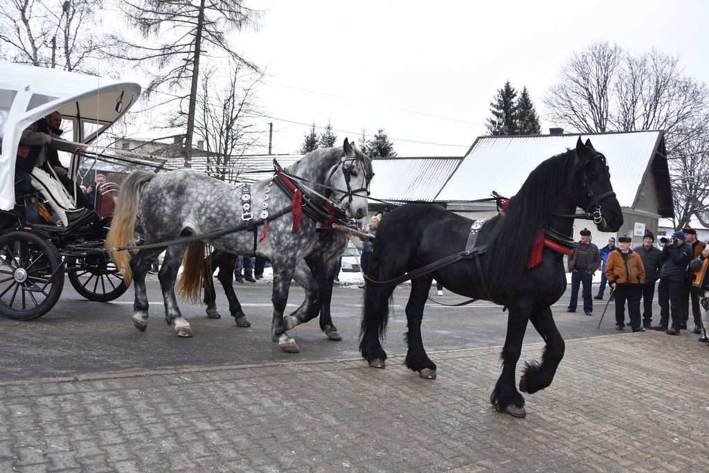 Miłośnicy koni u Gaździny Podhala