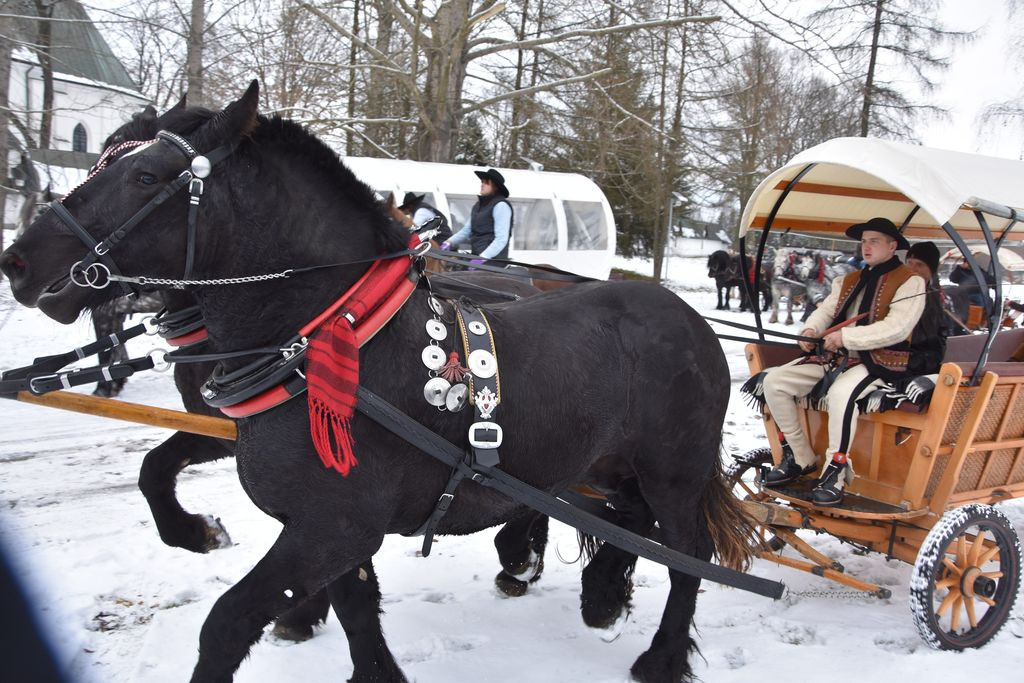 Miłośnicy koni u Gaździny Podhala