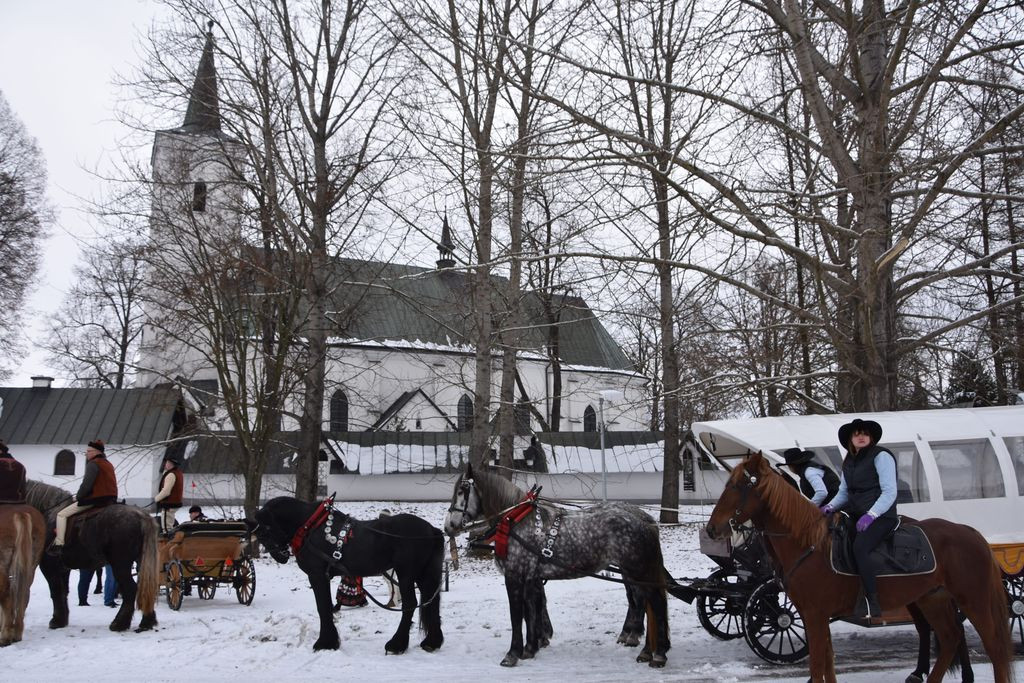Miłośnicy koni u Gaździny Podhala