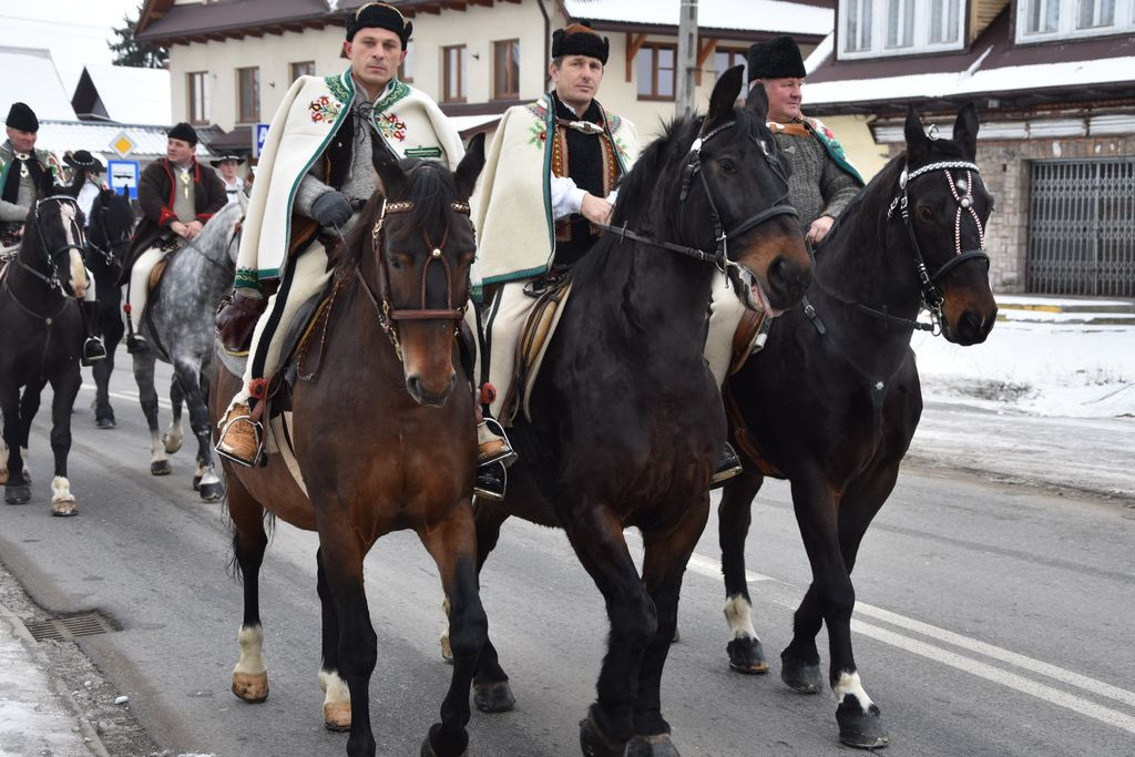 Miłośnicy koni u Gaździny Podhala