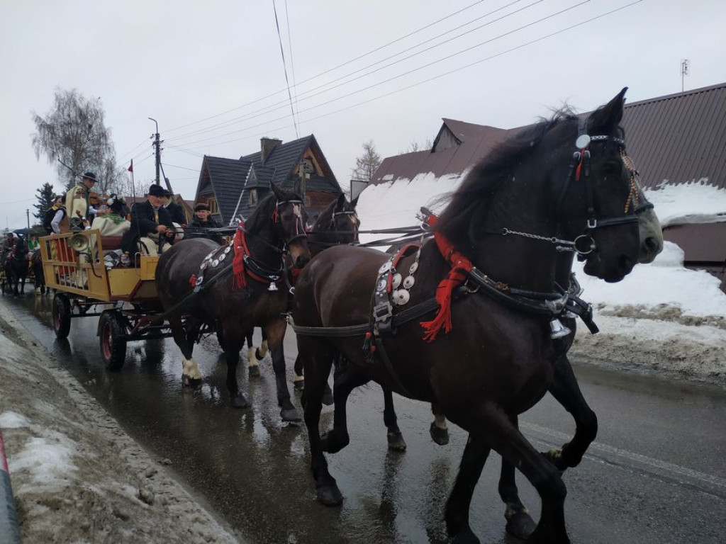 Rozpoczął się Góralski Karnawał