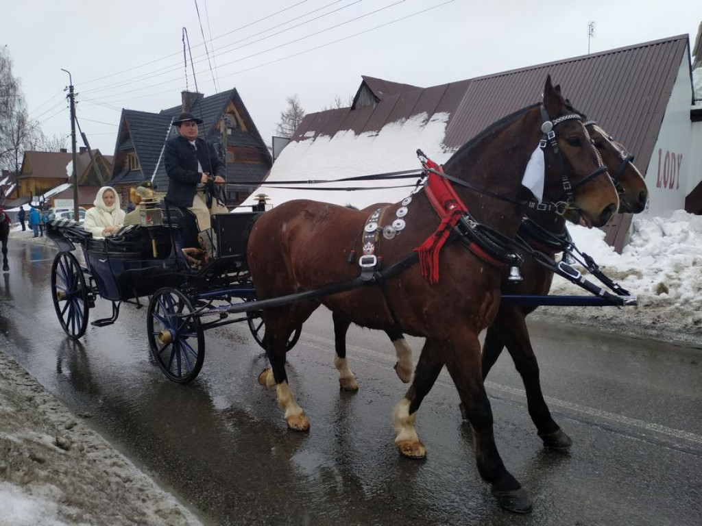 Rozpoczął się Góralski Karnawał