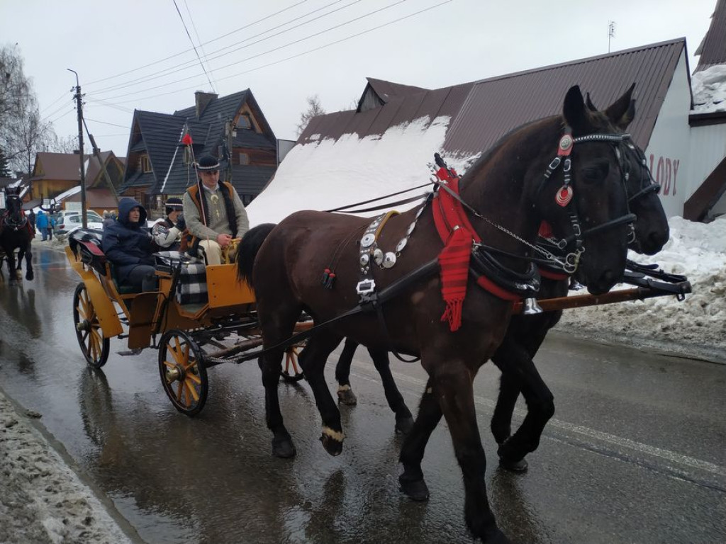 Rozpoczął się Góralski Karnawał