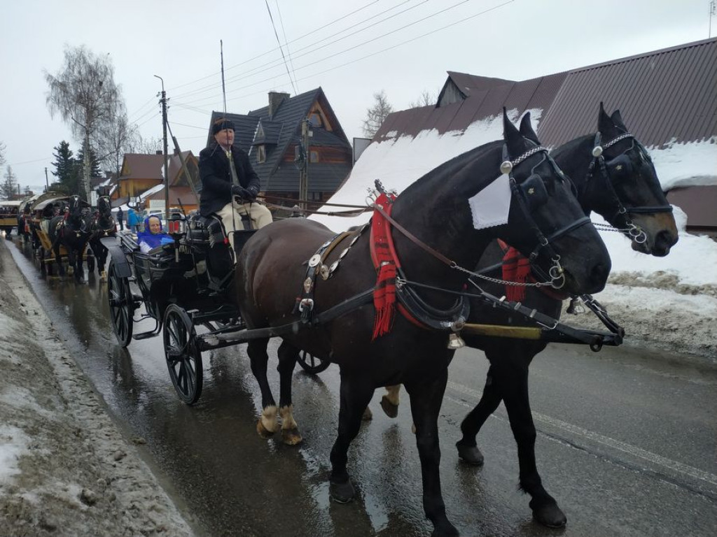 Rozpoczął się Góralski Karnawał