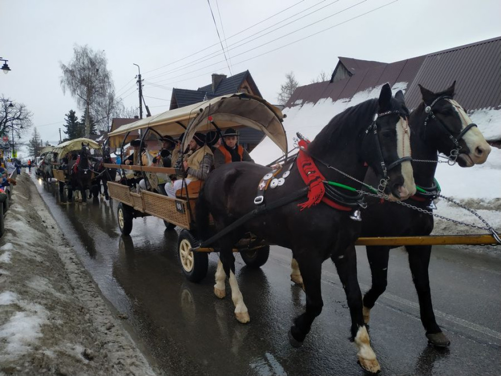 Rozpoczął się Góralski Karnawał