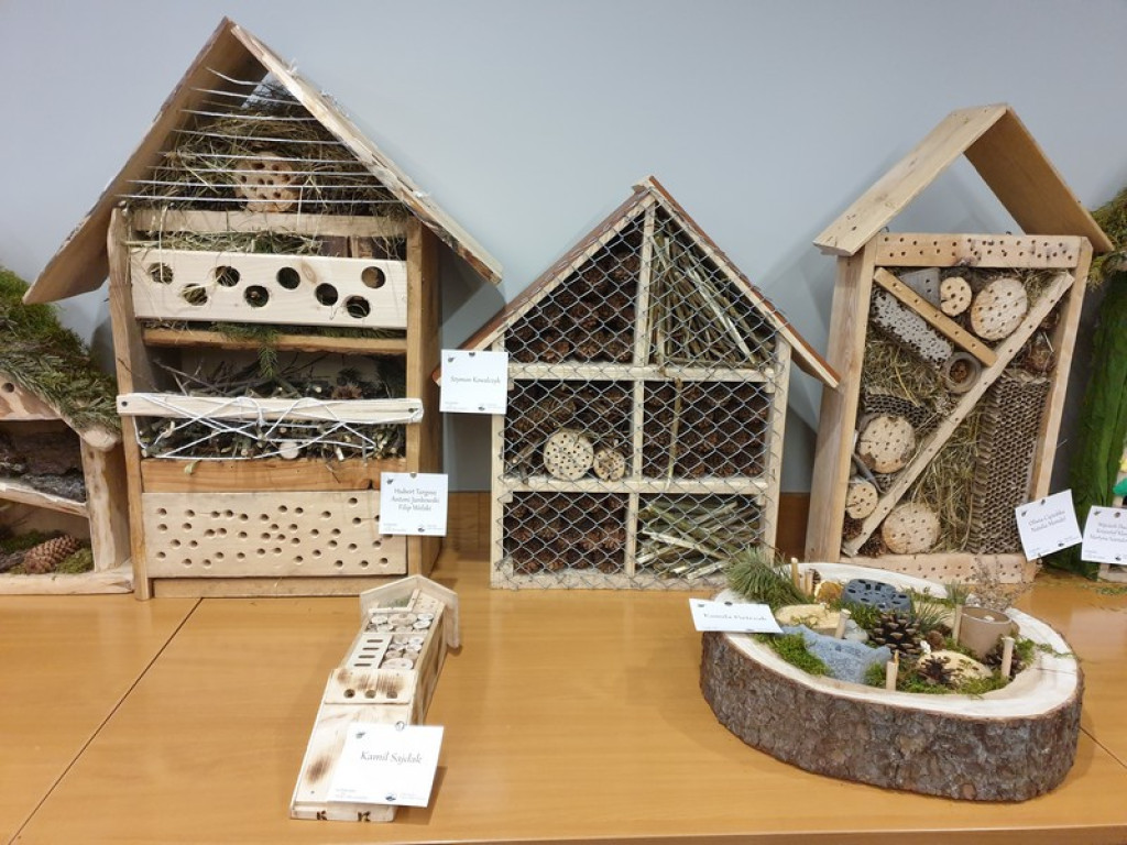 Hotel dla owadów