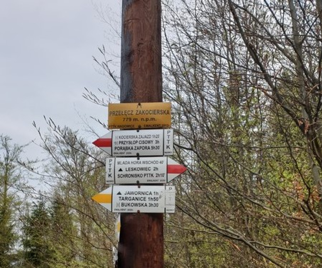 Nowotarżanie wędrowali szlakami Beskidu Małego