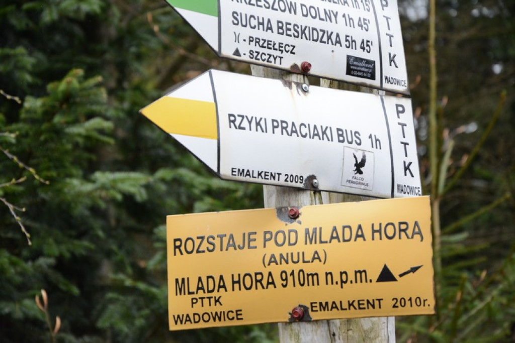 Nowotarżanie wędrowali szlakami Beskidu Małego