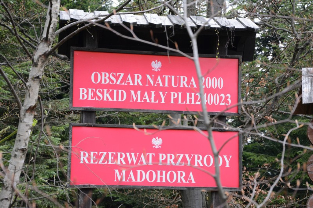 Nowotarżanie wędrowali szlakami Beskidu Małego