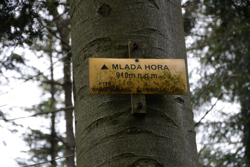 Nowotarżanie wędrowali szlakami Beskidu Małego