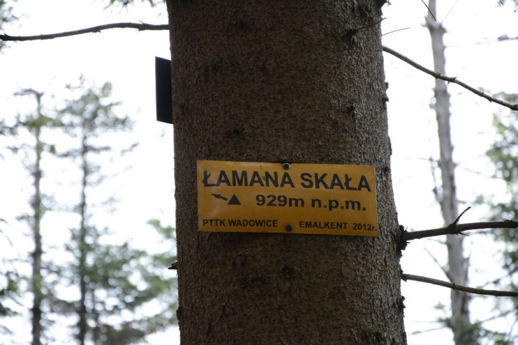 Nowotarżanie wędrowali szlakami Beskidu Małego