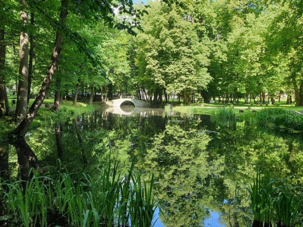 Turystyczny Dzień Dziecka