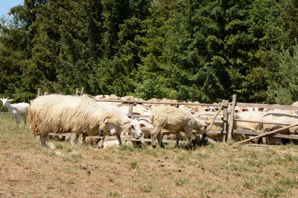Spiskie bacówki ukryte wśród wzgórz