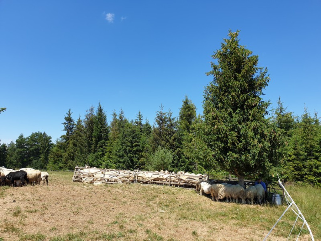 Spiskie bacówki ukryte wśród wzgórz