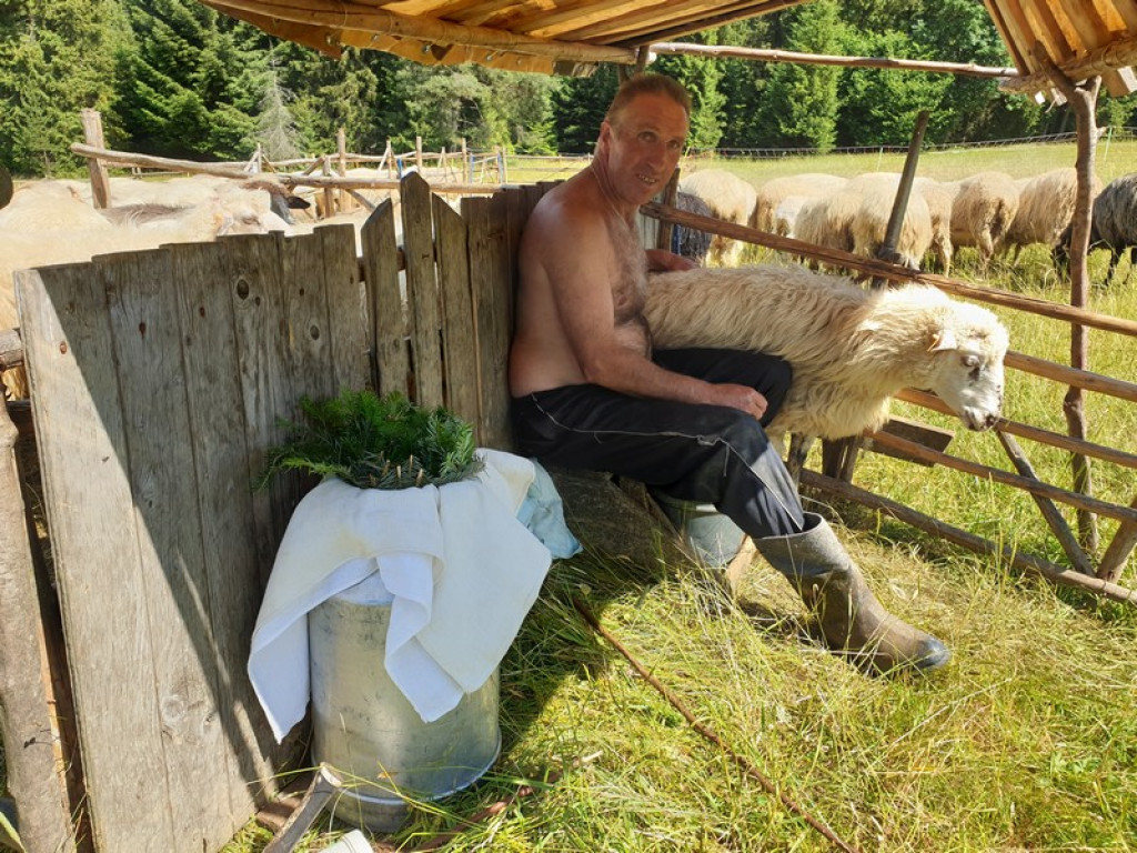 Spiskie bacówki ukryte wśród wzgórz