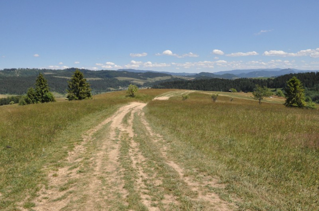 Magiczny Spisz