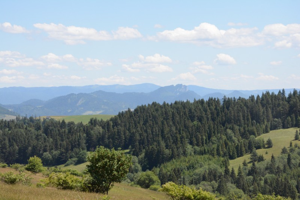 Królowa Pienin jest tylko jedna