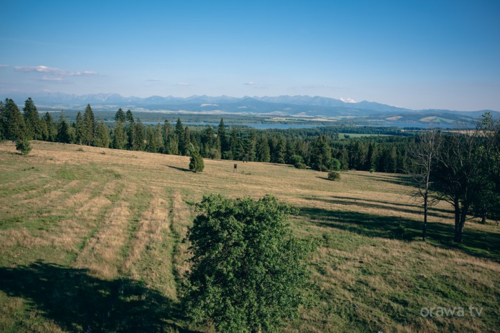 Rzeźbili świątki na Marysinej Polanie