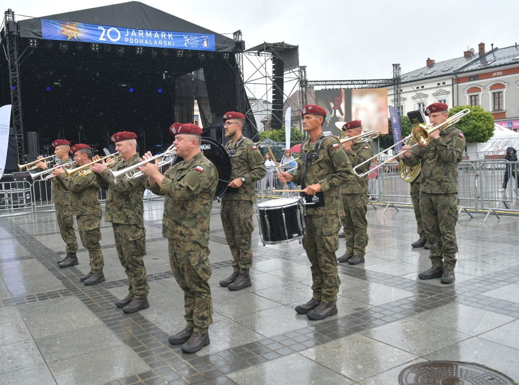 Święto Wojska Polskiego, czyli Piknik Wojskowy w Nowym Targu