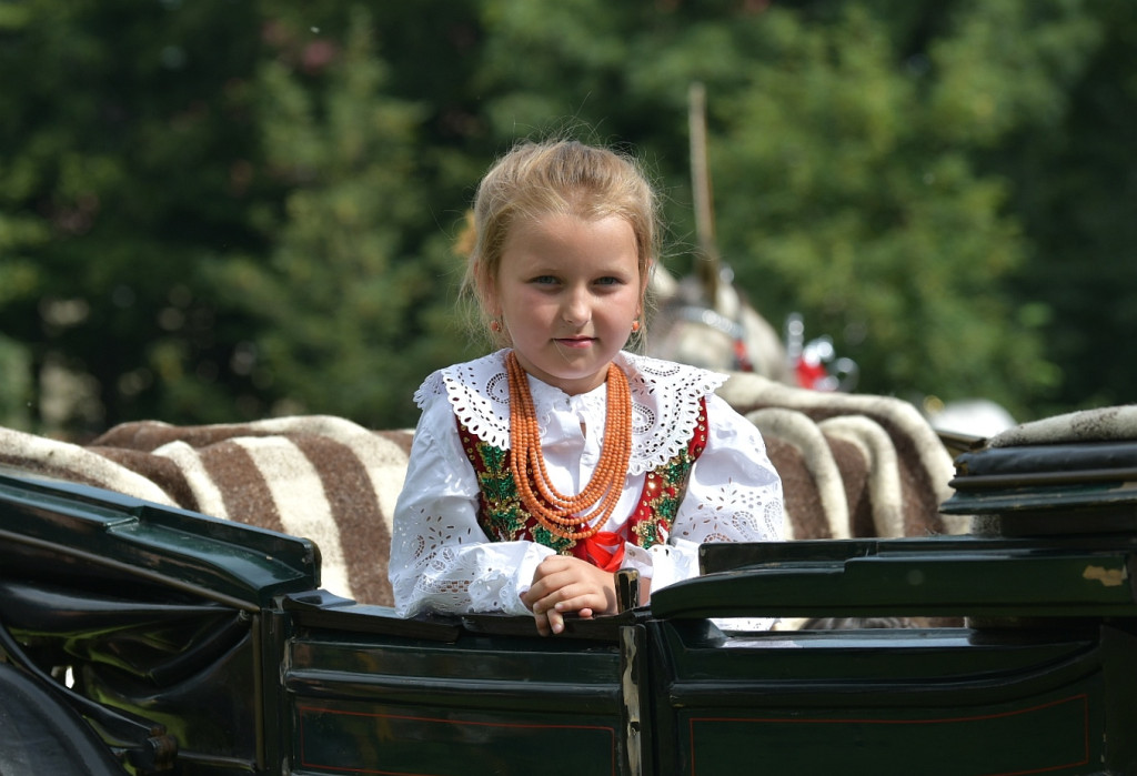 Piękne konie i precyzyjna jazda powozem