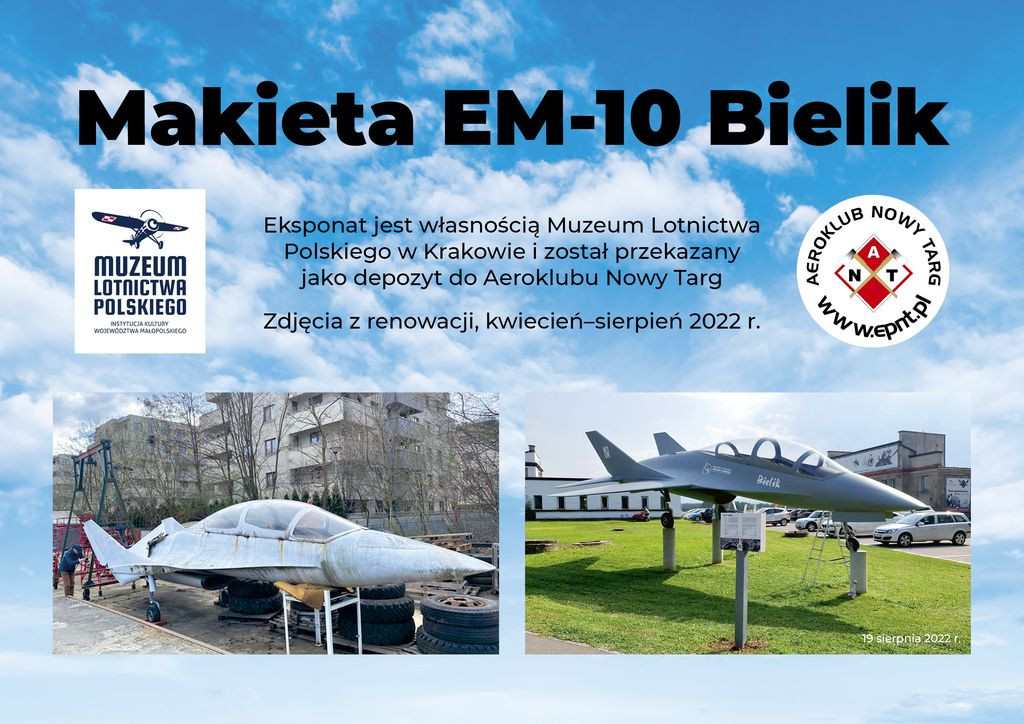 Makieta EM-10 Bielik