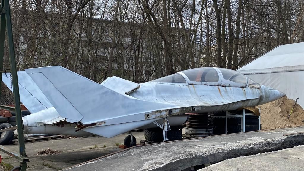 Makieta EM-10 Bielik
