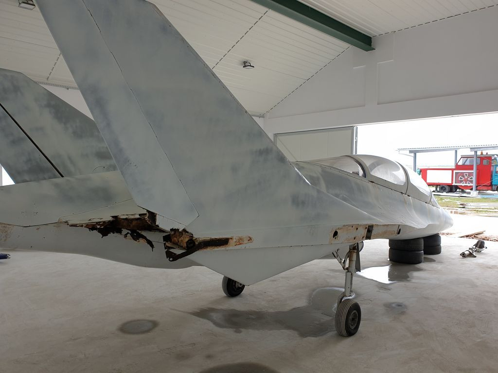 Makieta EM-10 Bielik